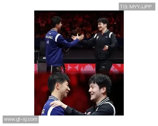 卡塔尔马龙与樊振东巅峰对决乒乓球赛精彩回顾与分析