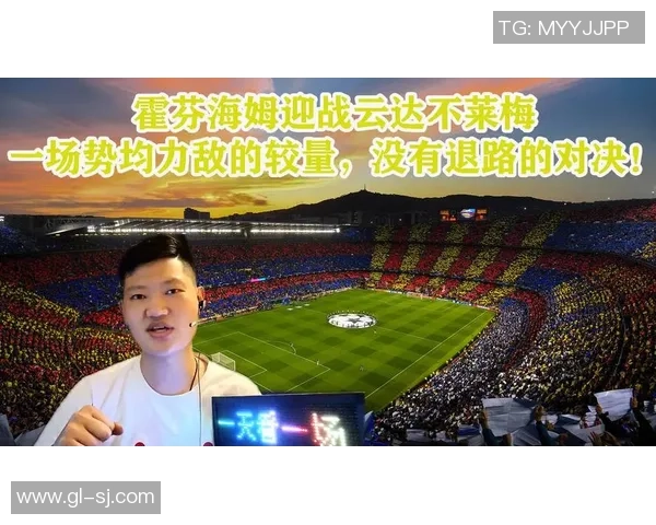 014埃门对阵芬落的精彩对决分析与赛后点评