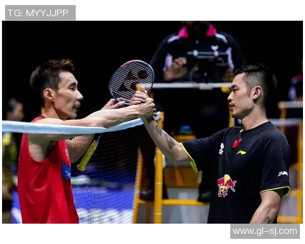 2013年林丹与李宗伟巅峰对决回顾：羽坛传奇的荣耀与挑战