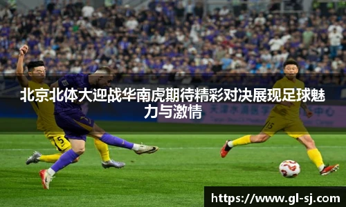 VSport体育最新地址