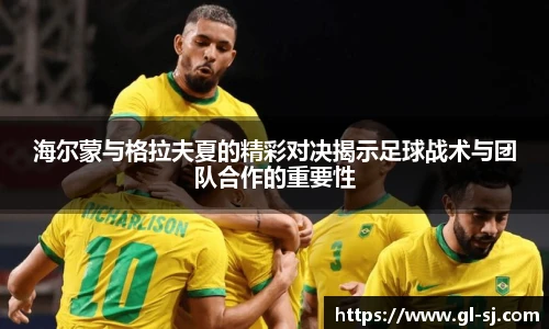 VSport体育官网入口